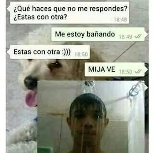 +3 Si te ríes de esto!!