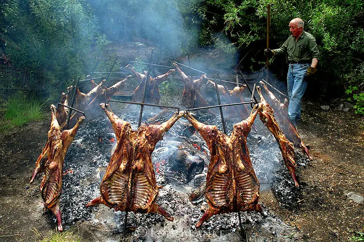argentino argentino