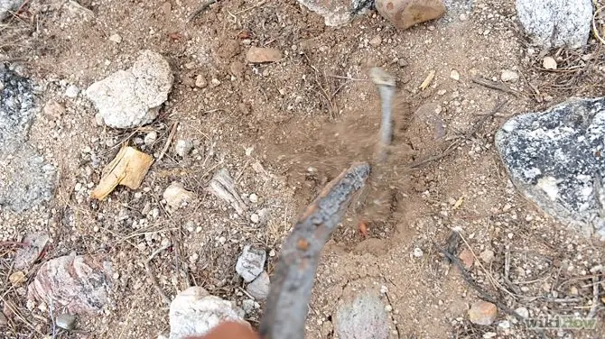 Cómo defecar al aire libre