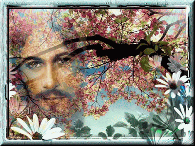 Día 44 Santa Biblia en un año-Texto y audio