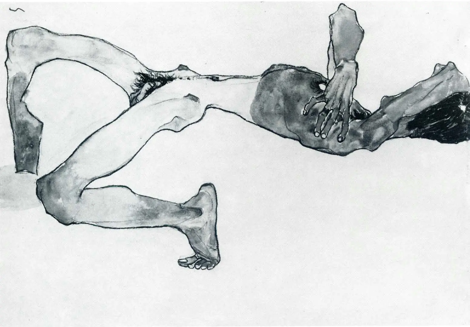 humano