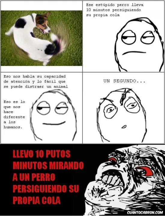 truehistory