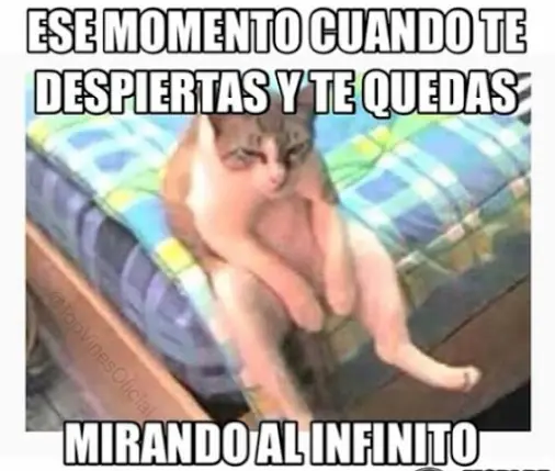 Megapost de las imàgenes màs graciosas (a mi gusto)