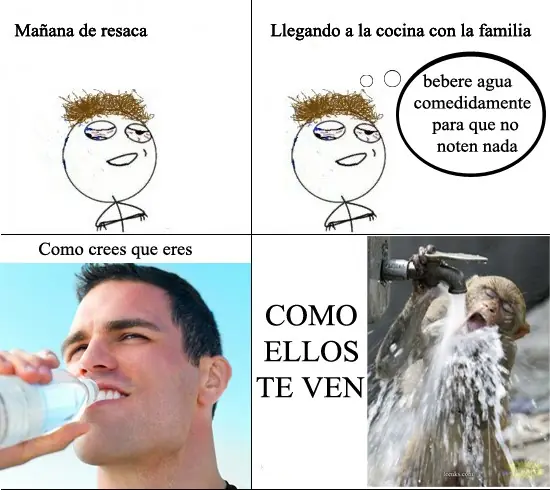 memes del dia 24-23/8/11