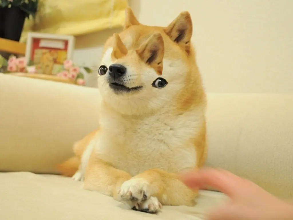 gifs para taringa
