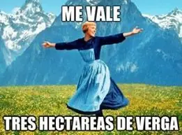 5 si te reis