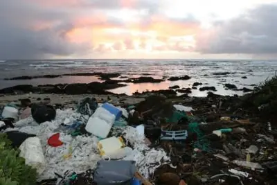 ecologia