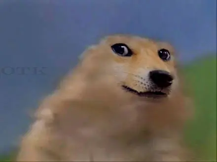 +5 si te hago reir gifs e imagenes