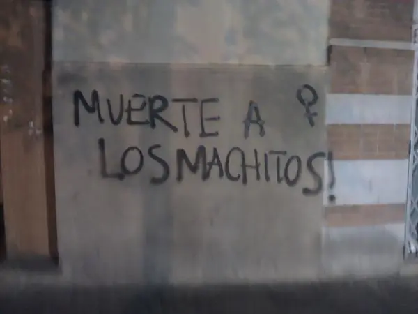 neo feminismo