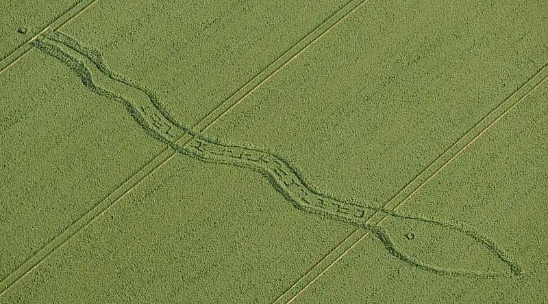 Nuevo mensaje en Crop Circle