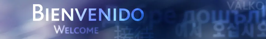 Teoría del disparo y Balística