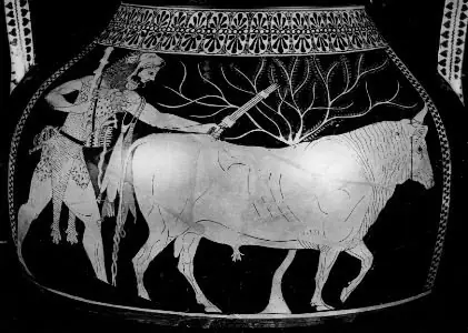 Los 12 Trabajos de Hercules