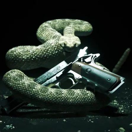 armas
