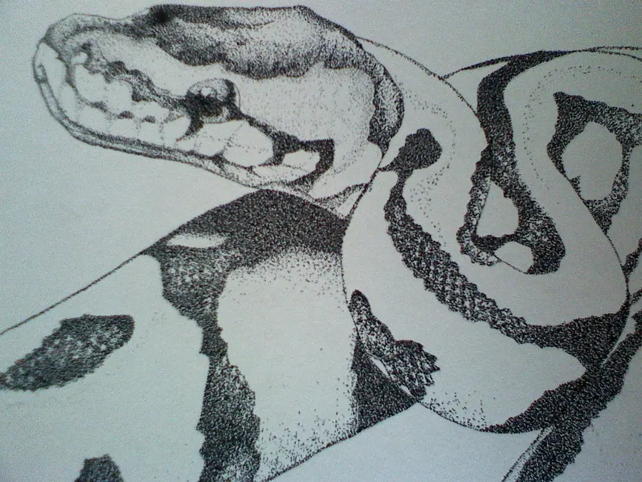 arte