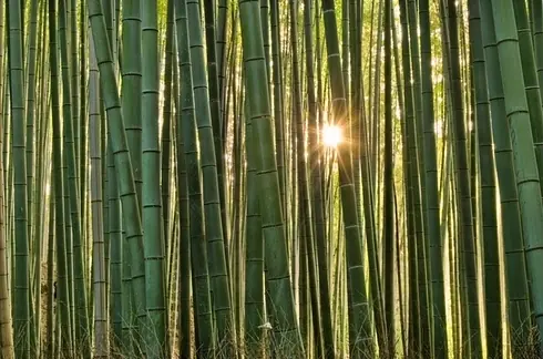 27 Lugares increíbles que tienes que visitar antes de morir