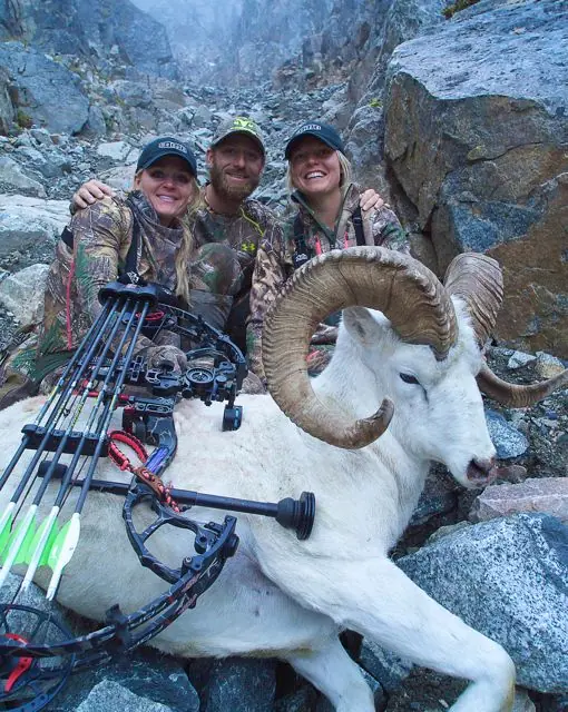 animales