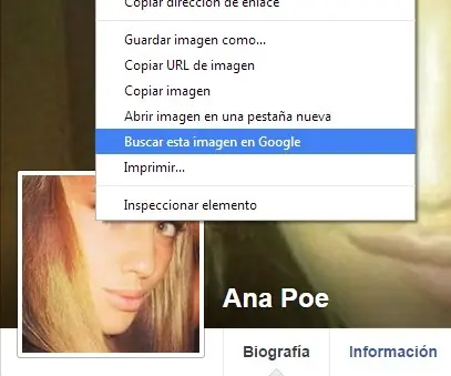 fake