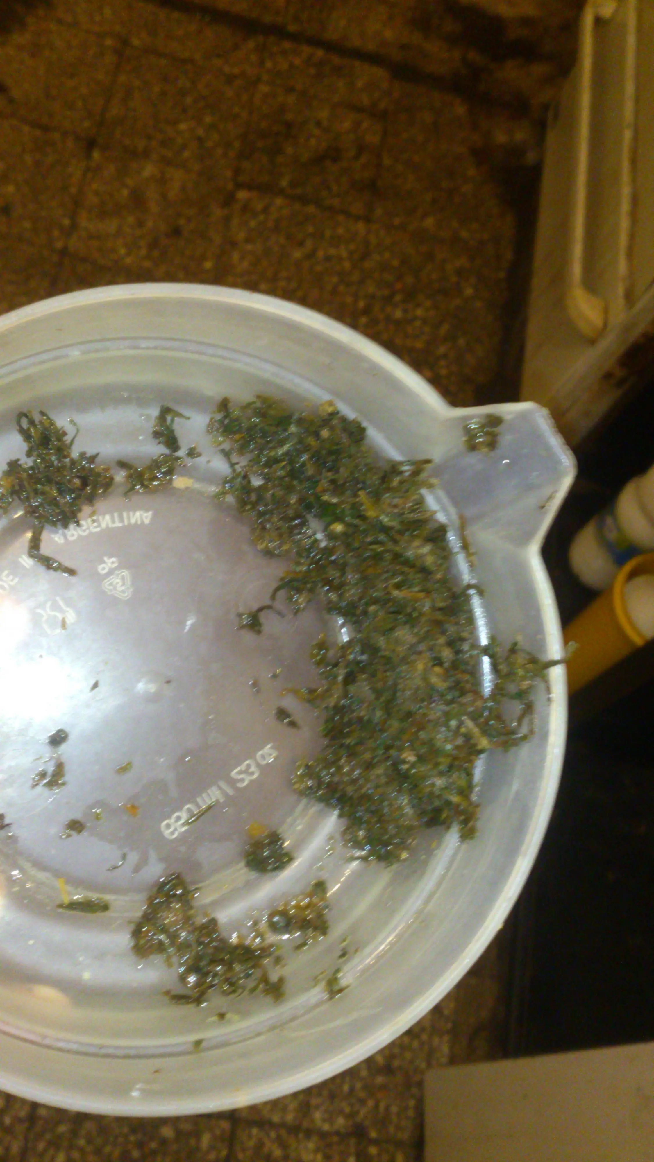 porro