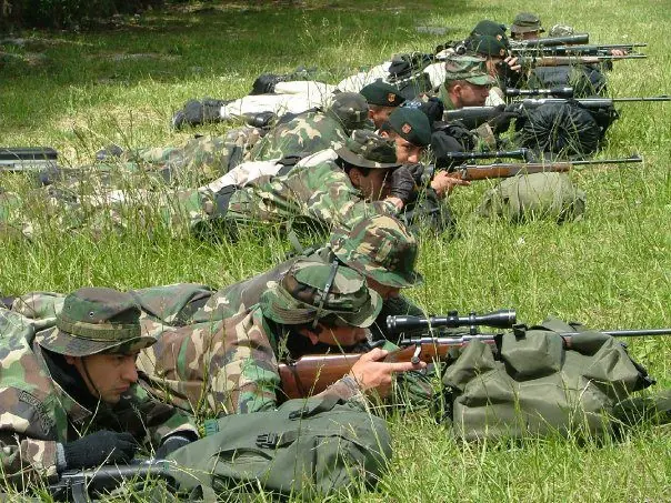 rifle