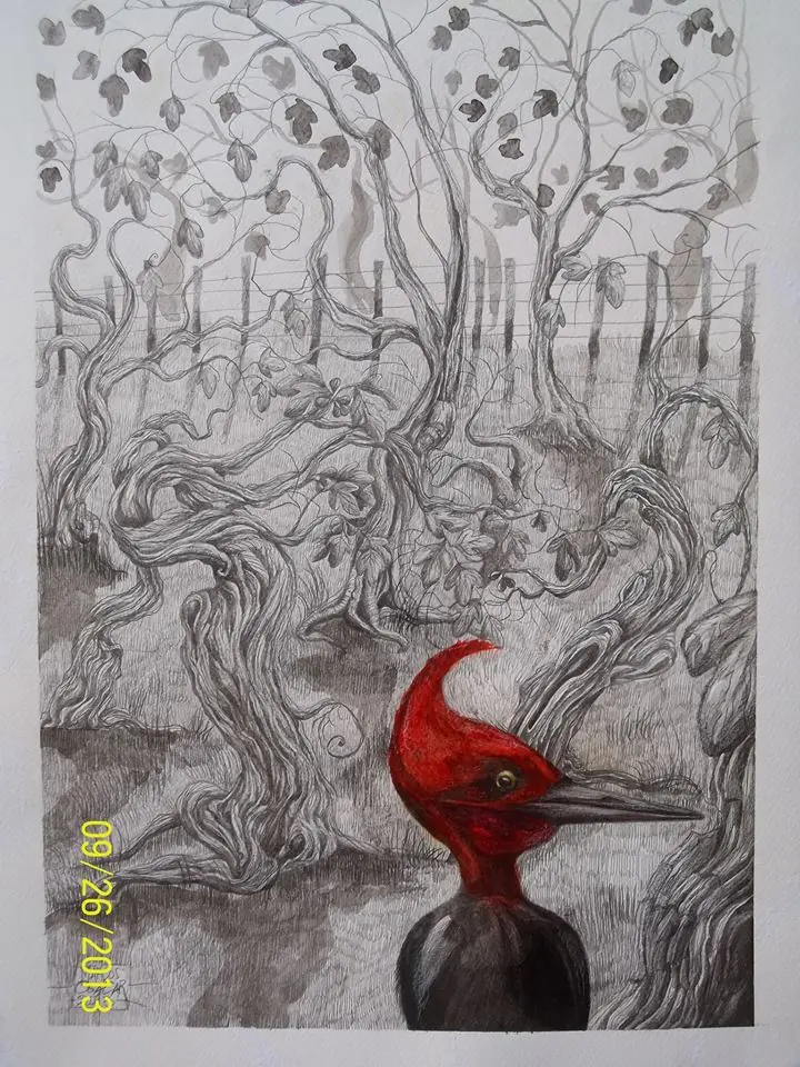 arte