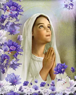 Día 53-Santa Biblia en un año Texto y Audio