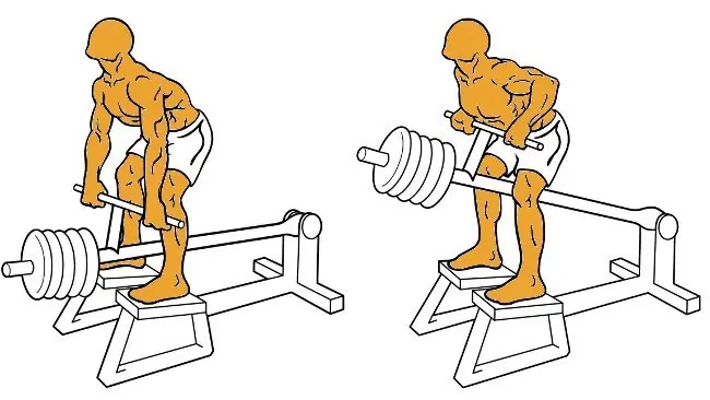 Gimnasio. Algo esta mal..
