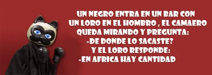 pensamientos