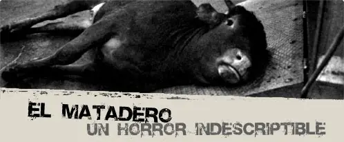 consecuencias comer carne