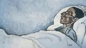 derechos de los animales