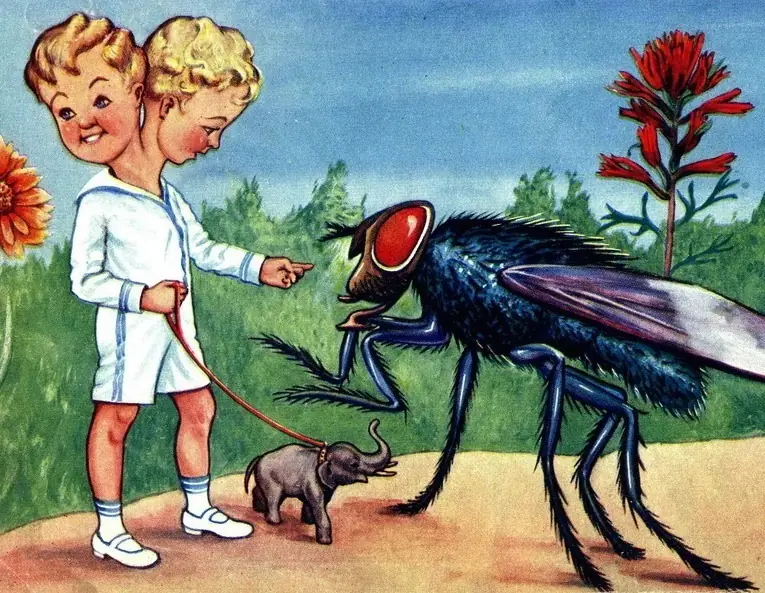 Los viajes de los hongos