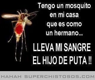 risas