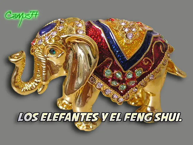 Los Elefantes y el Feng Shui