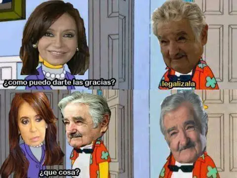 gif humor