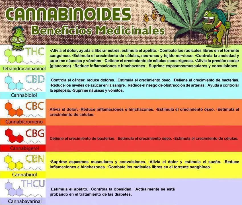 jajaja