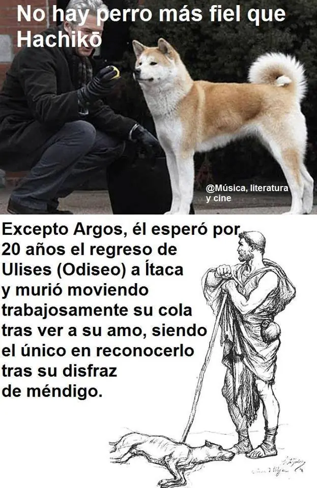humor grafico