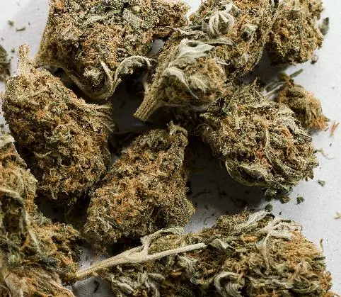legalizada
