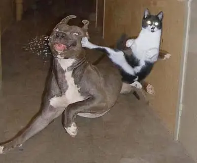 no