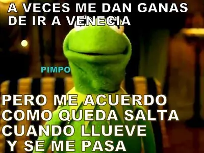 frases cortas