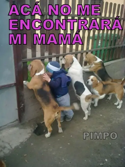 imagenes