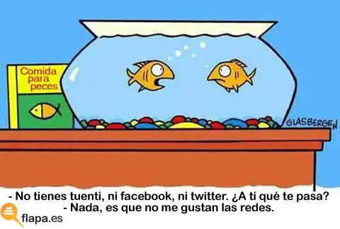 humor grafico