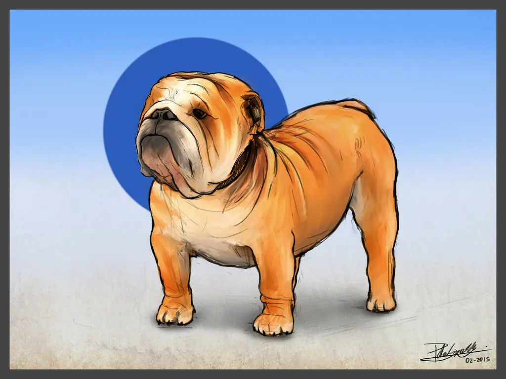 wacom