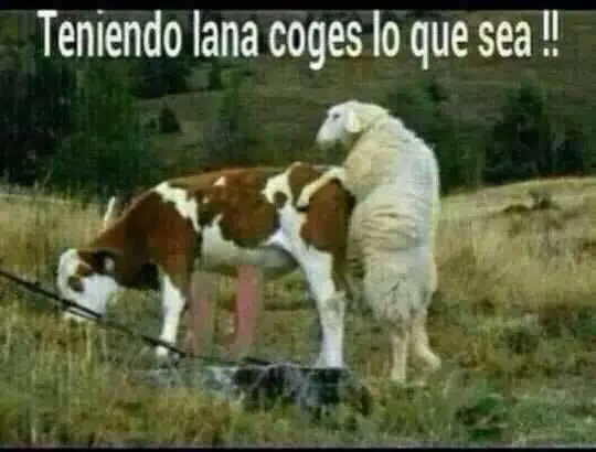 imagenes