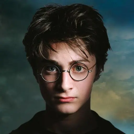 harry potter