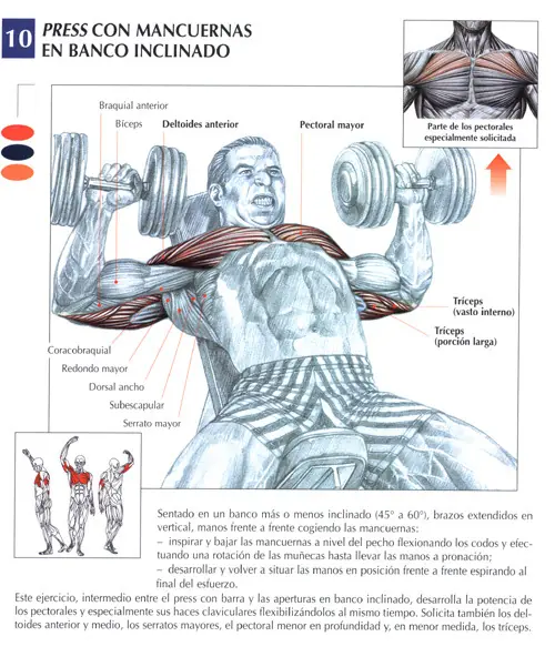 phil heath vs kai greene 2014