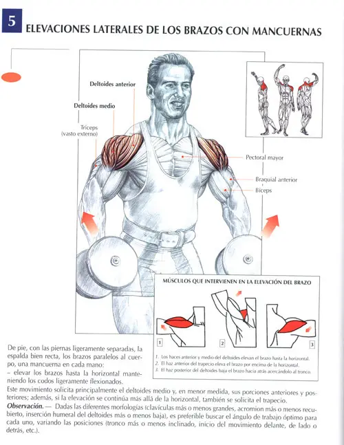 pectorales en casa