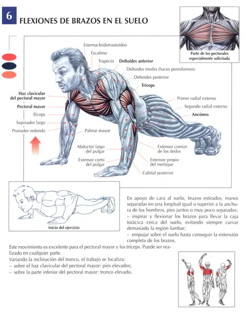 mr olympia