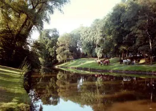 ciudad medieval