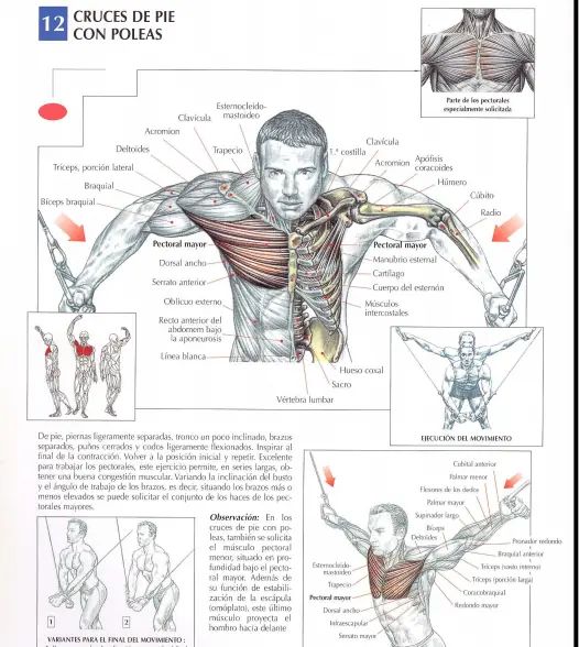 Queres mejorar tu cuerpo? Entra lince!