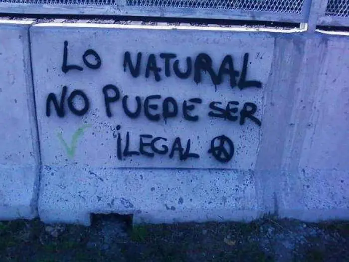 auto cultivo auto cultivo