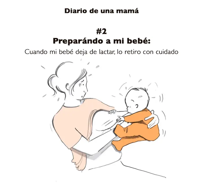 bebe